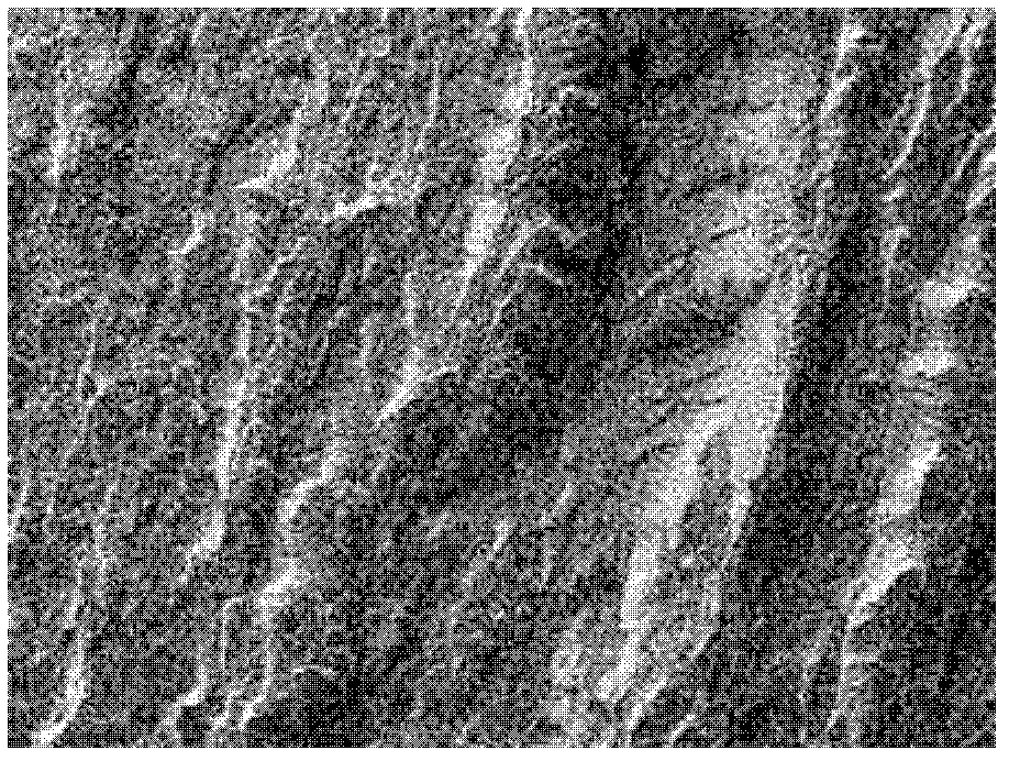 Novel phosphorus-containing thermotropic liquid crystal copolyester and preparation method and application thereof