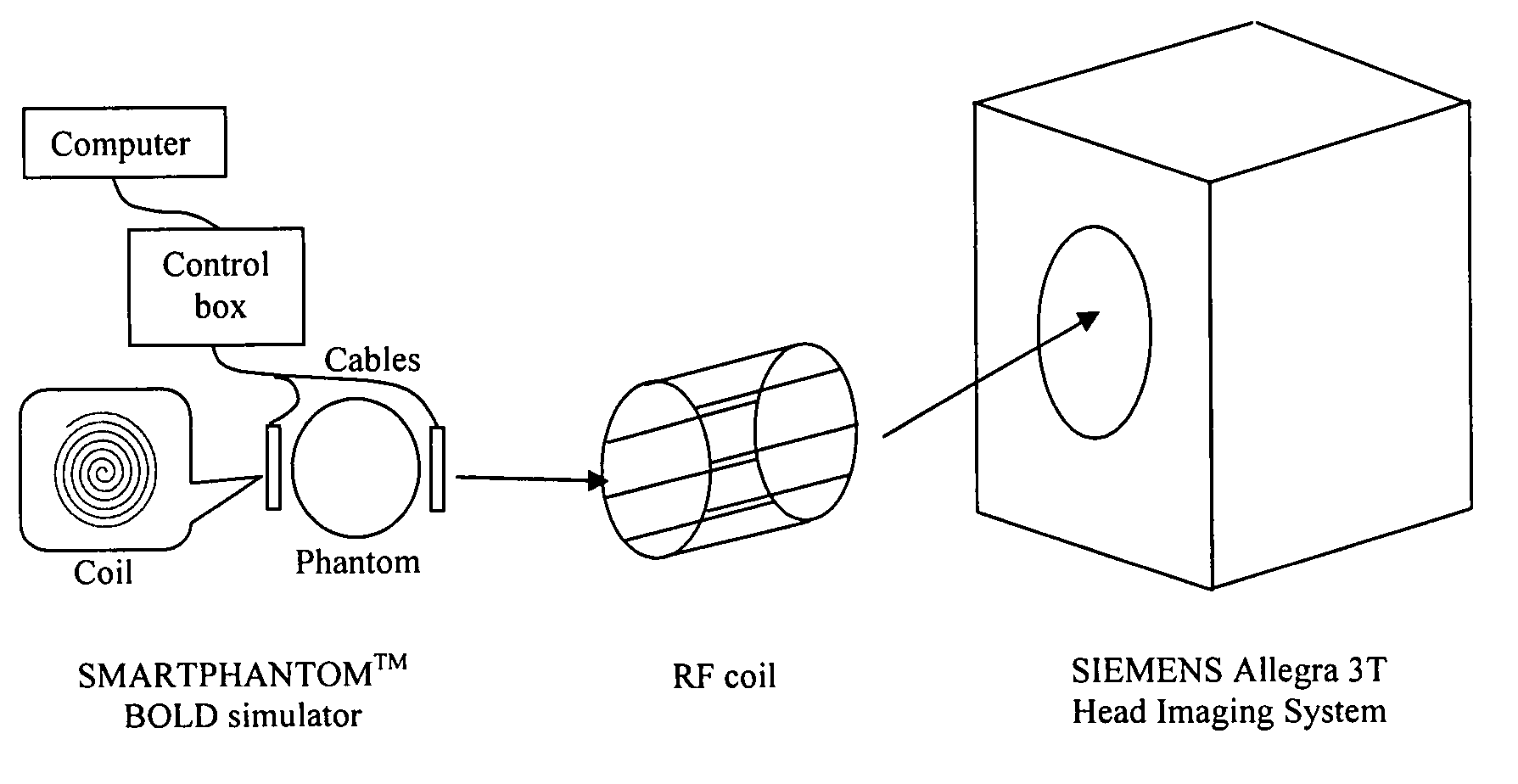 Method and apparatus for determining a hemodynamic response function for event-related functional magnetic resonance imaging