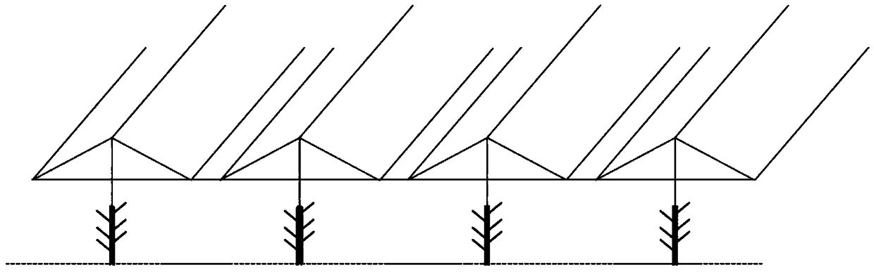 Greenhouse body structure for fruit tree rainproof cultivation