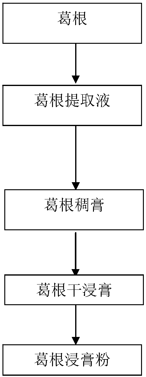 Dendrobium huoshanense, curcumin and kudzuvine root capsule and preparation method thereof