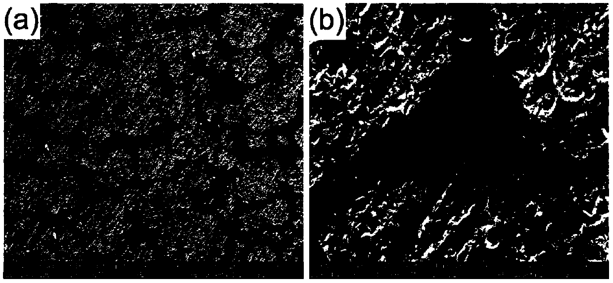 Silicon nitride foam ceramic reinforced aluminum matrix composite material and its preparation method and application