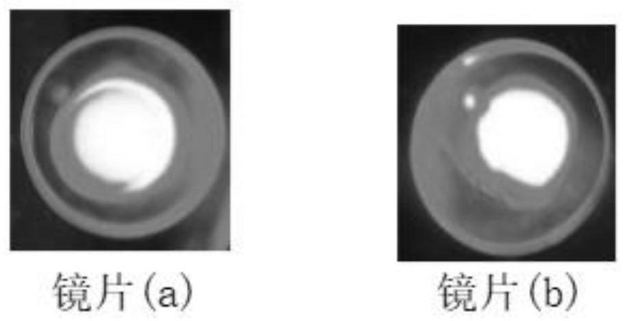 Method for effectively detecting tear protein degradation