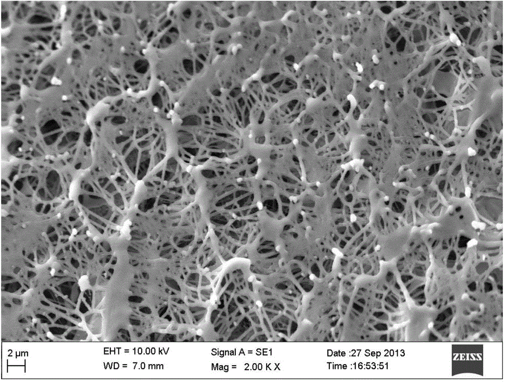 Deep oil displacement and profile control agent for oil deposit and preparation method thereof