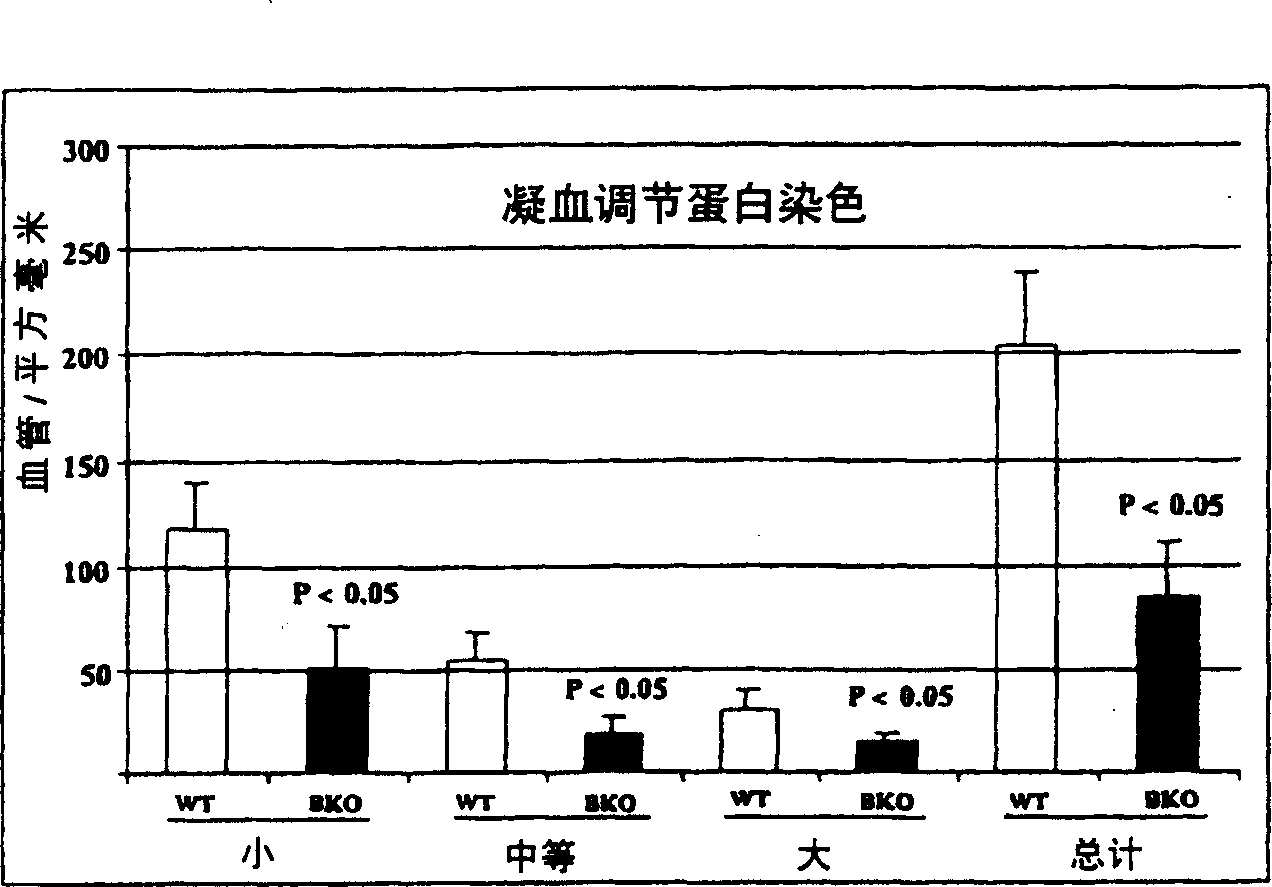 Stimulation of vascularization with VEGF-B