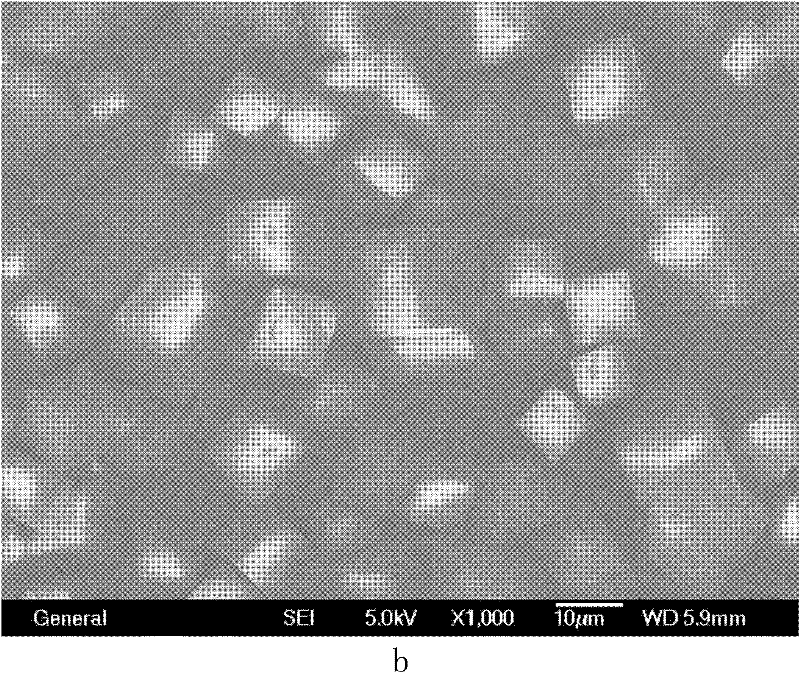 Method for synthesizing phosphorus-silicate-aluminum molecular sieve with metal-amine-complex as template