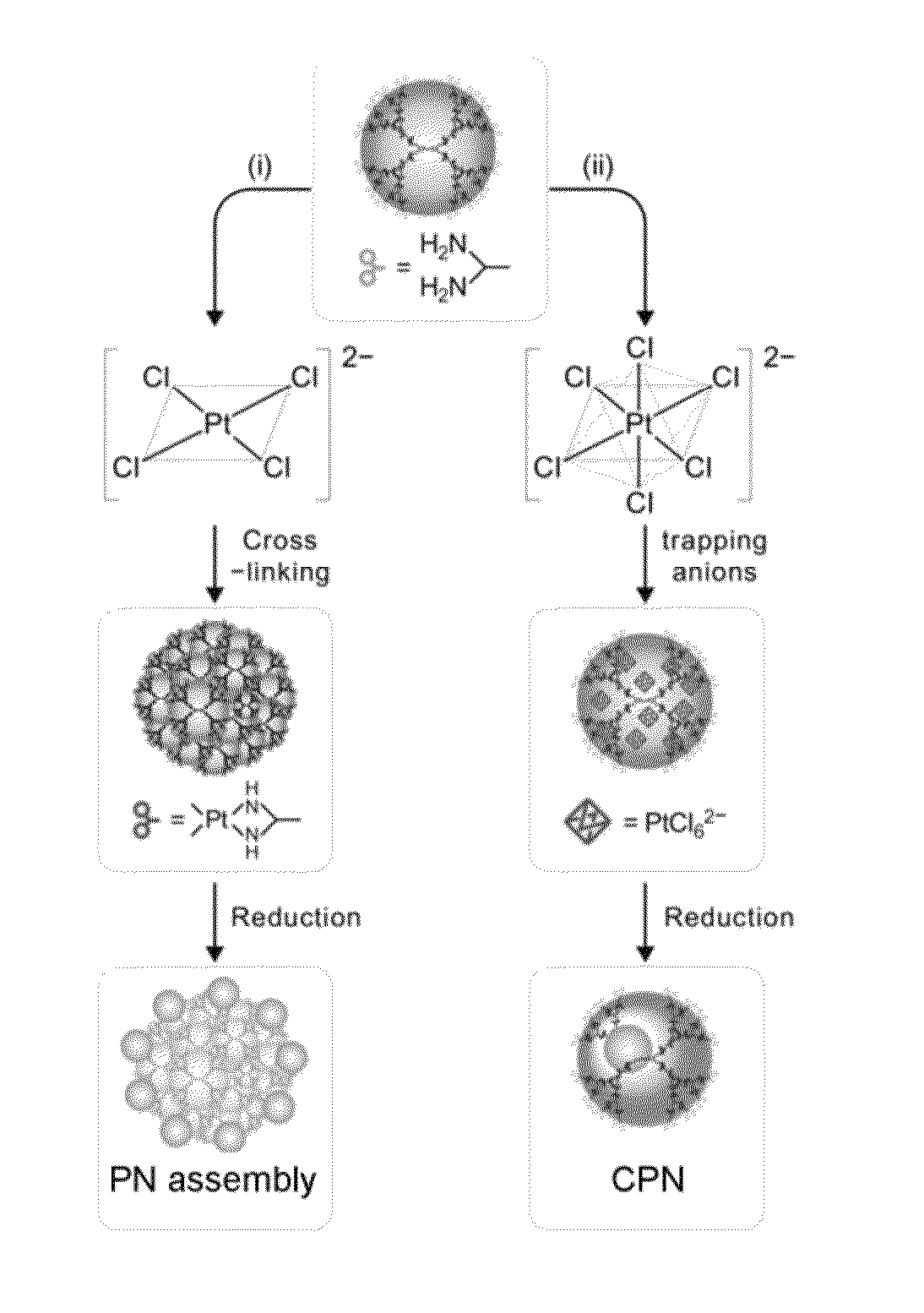 Caged platinum nanoclusters for anticancer chemotherapeutics