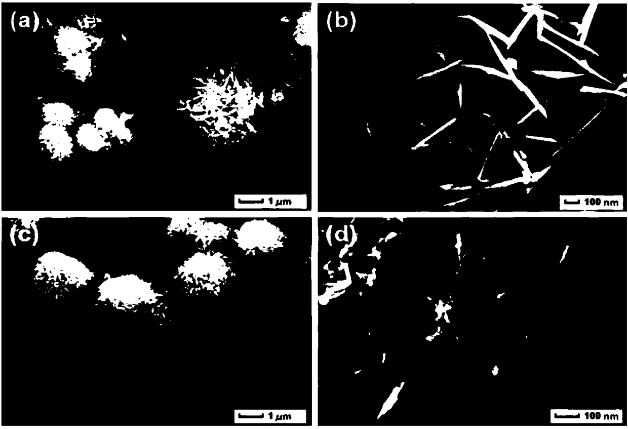 Preparation method of bismuth molybdate/polyaniline composite supercapacitor electrode material