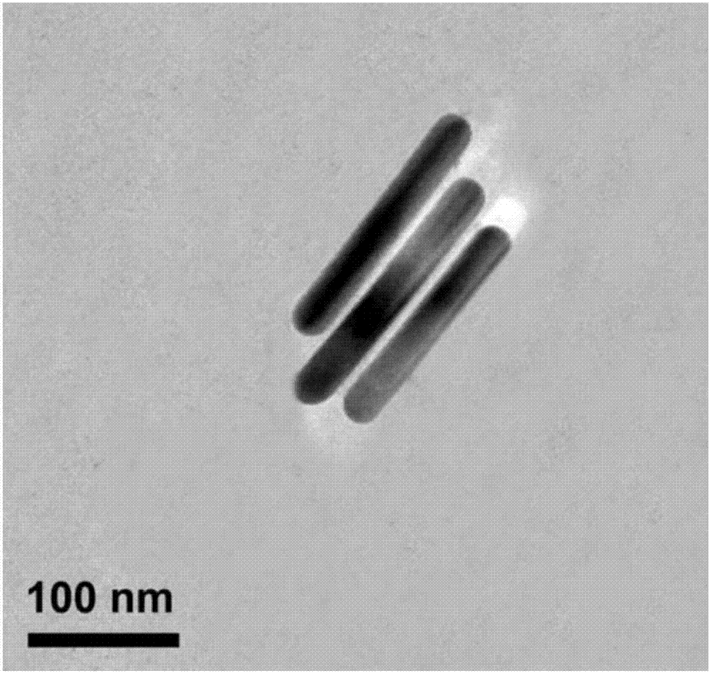 Silver nanorod/ polymer/ silver nanosheet core-shell nanometer material and preparation method and application thereof