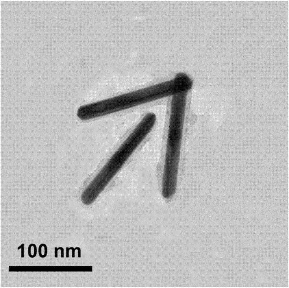 Silver nanorod/ polymer/ silver nanosheet core-shell nanometer material and preparation method and application thereof