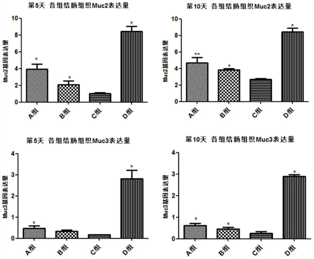 Compound combined medicament for treating ulcerative colitis and preparation method of compound combined medicament