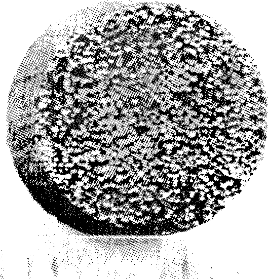 Bio-medical porous titanium products and preparation method thereof