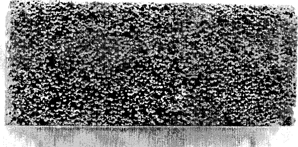 Bio-medical porous titanium products and preparation method thereof