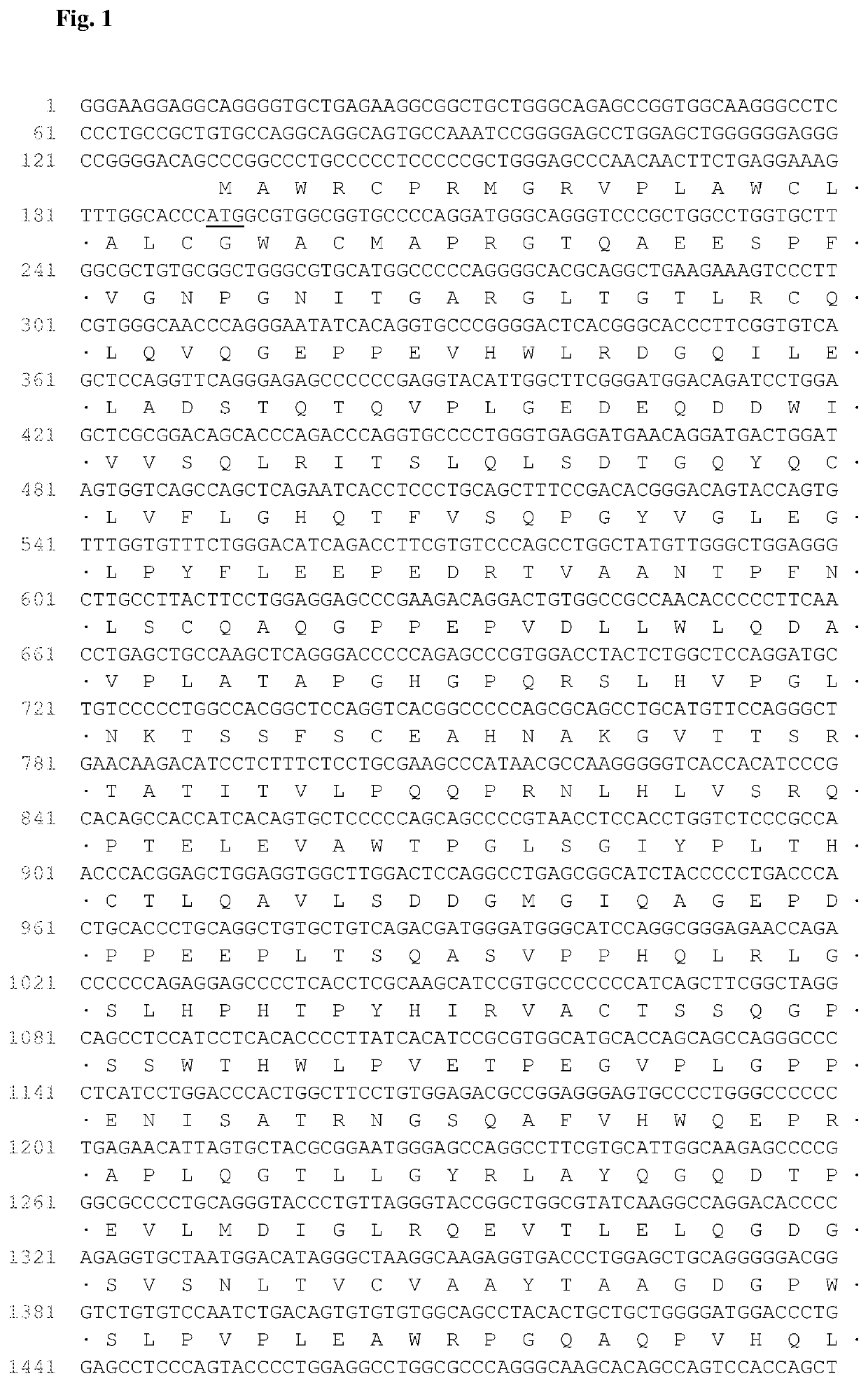 Antibodies that bind to AXL proteins