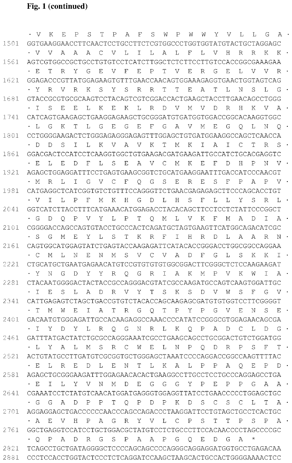 Antibodies that bind to AXL proteins