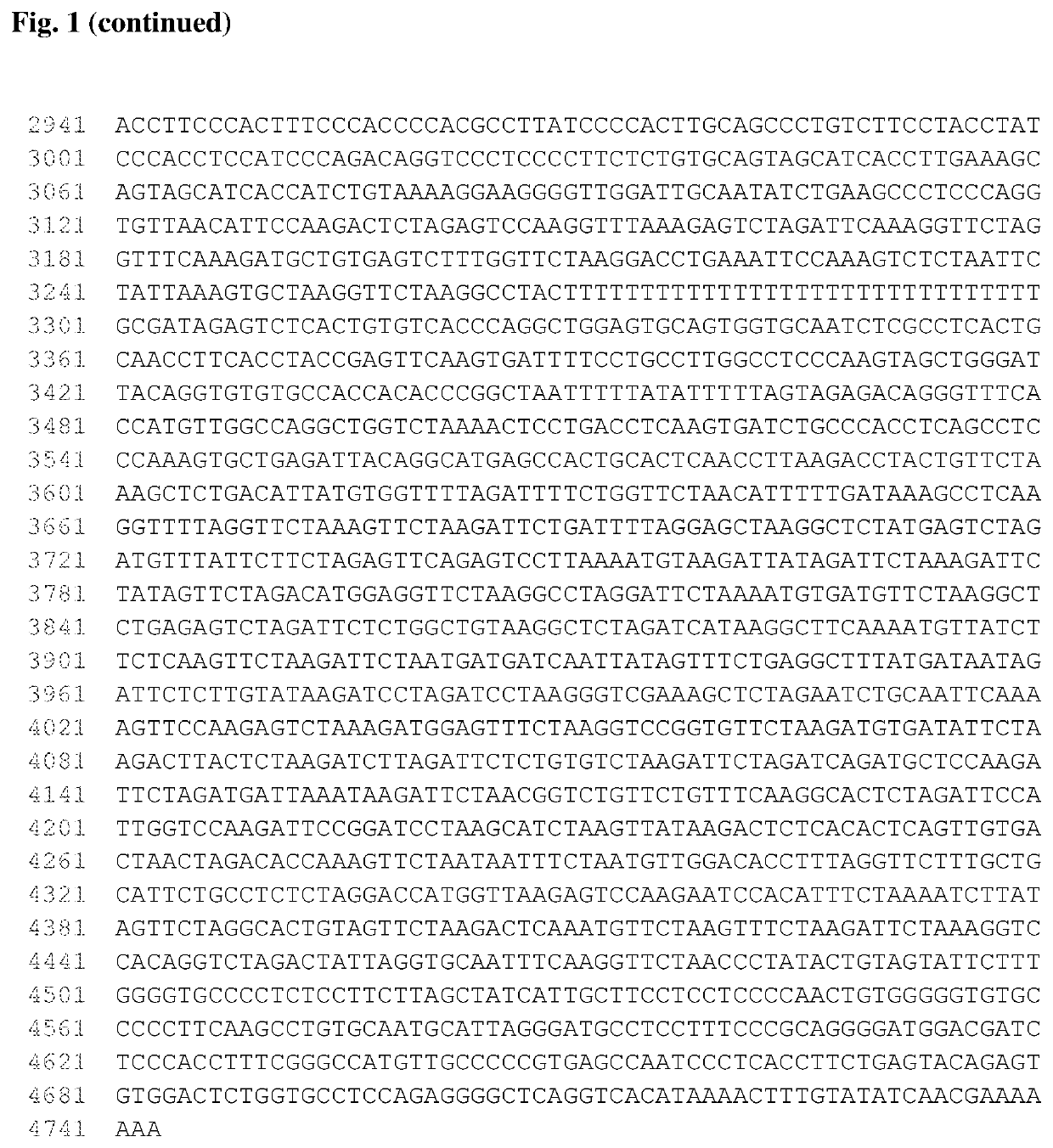 Antibodies that bind to AXL proteins