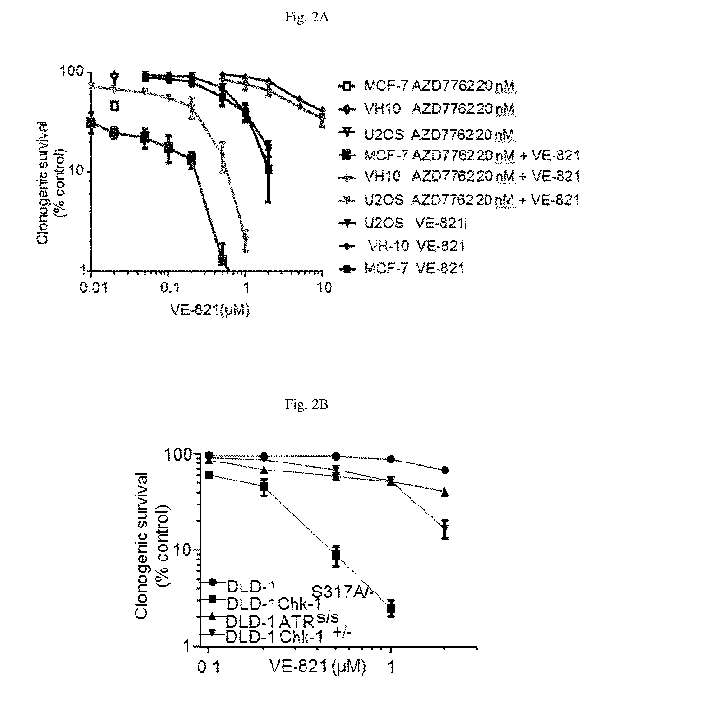 Method for treating cancer using a combination of chk1 and atr inhibitors