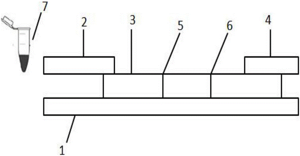 TRF (time-resolved fluorescence) immunochromatography reagent for rapidly and quantitatively detecting H-FABP (heart fatty acid-binding protein) and preparation method