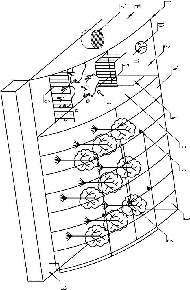 A green-operation-type agricultural facility