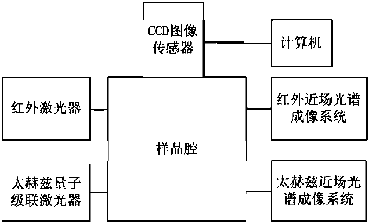 Near-field microscopy system and construction method thereof