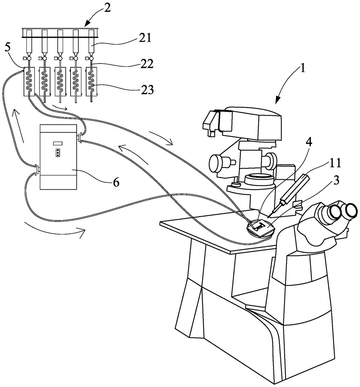 Constant-temperature patch clamp cell recording system