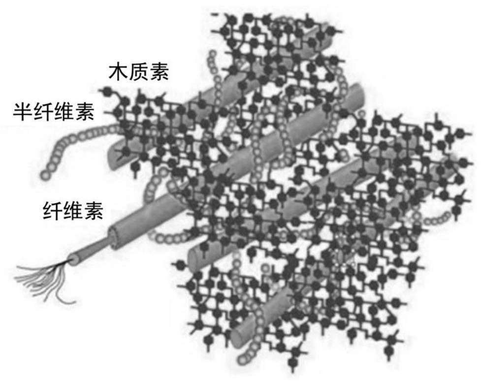 Hierarchical pore biochar as well as preparation method and application thereof