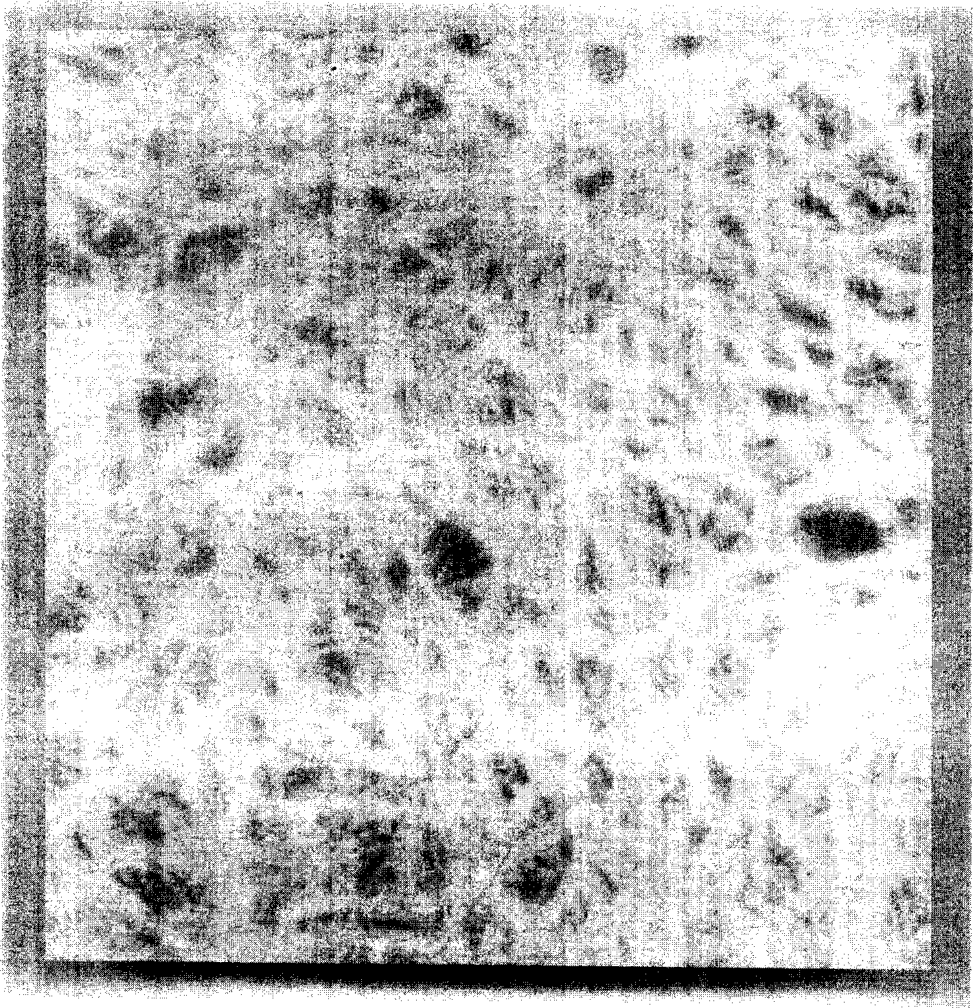 Preparation method of creature dross grain emulated crystallite glass composite plate