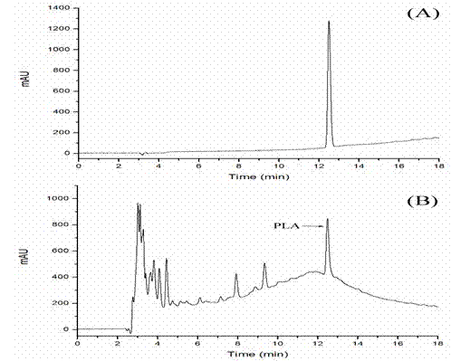 Bacterial strain for preparing phenyllactic acid and method for preparing phenyllactic acid through bacterial strain fermentation