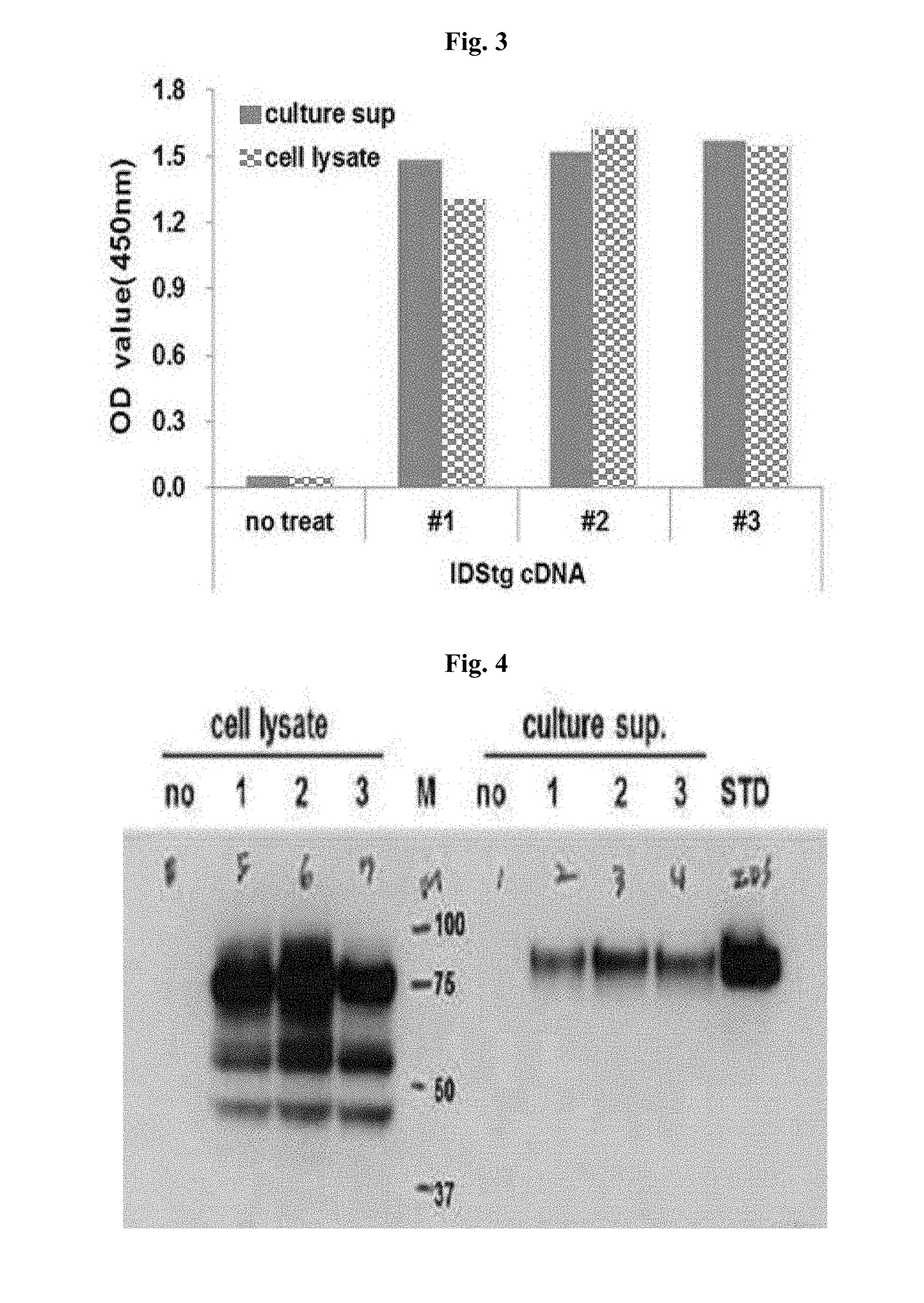 Transgenic mouse expressing inactivated human iduronate-2-sulphatase and method for improving a hunter syndrome treating agent using same