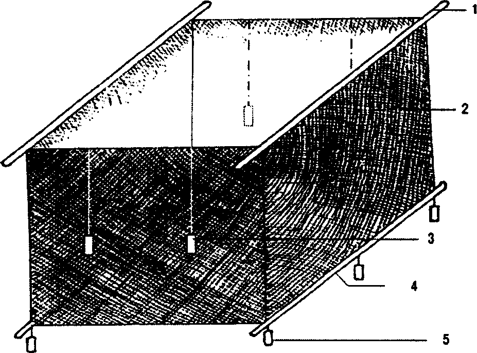 Method for swimming type shellfish hatching and larva cultivation