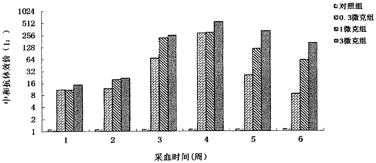 Coxsackie virus a16 type virus strain, application, vaccine and preparation method thereof