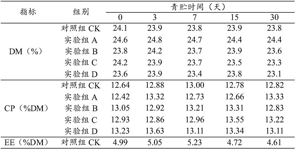 Composite strain fermentation agent and preparation method of silage