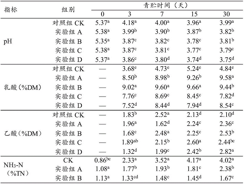 Composite strain fermentation agent and preparation method of silage