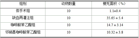 O-nitro caffeic acid phenethyl ester, preparation method and application thereof