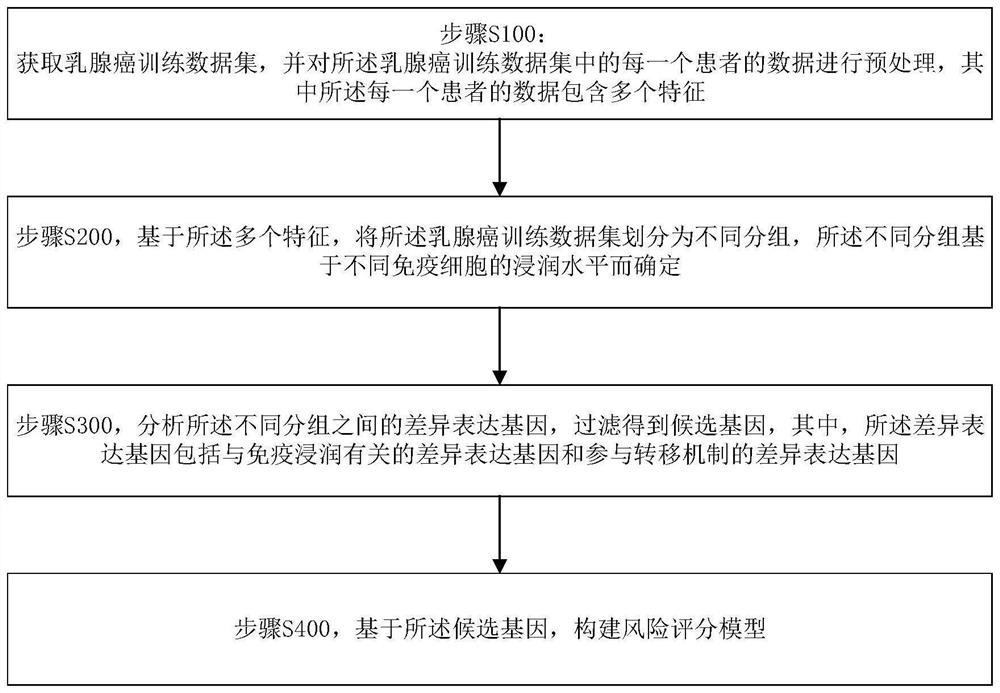 Construction and application method of breast cancer prognosis model and storage medium