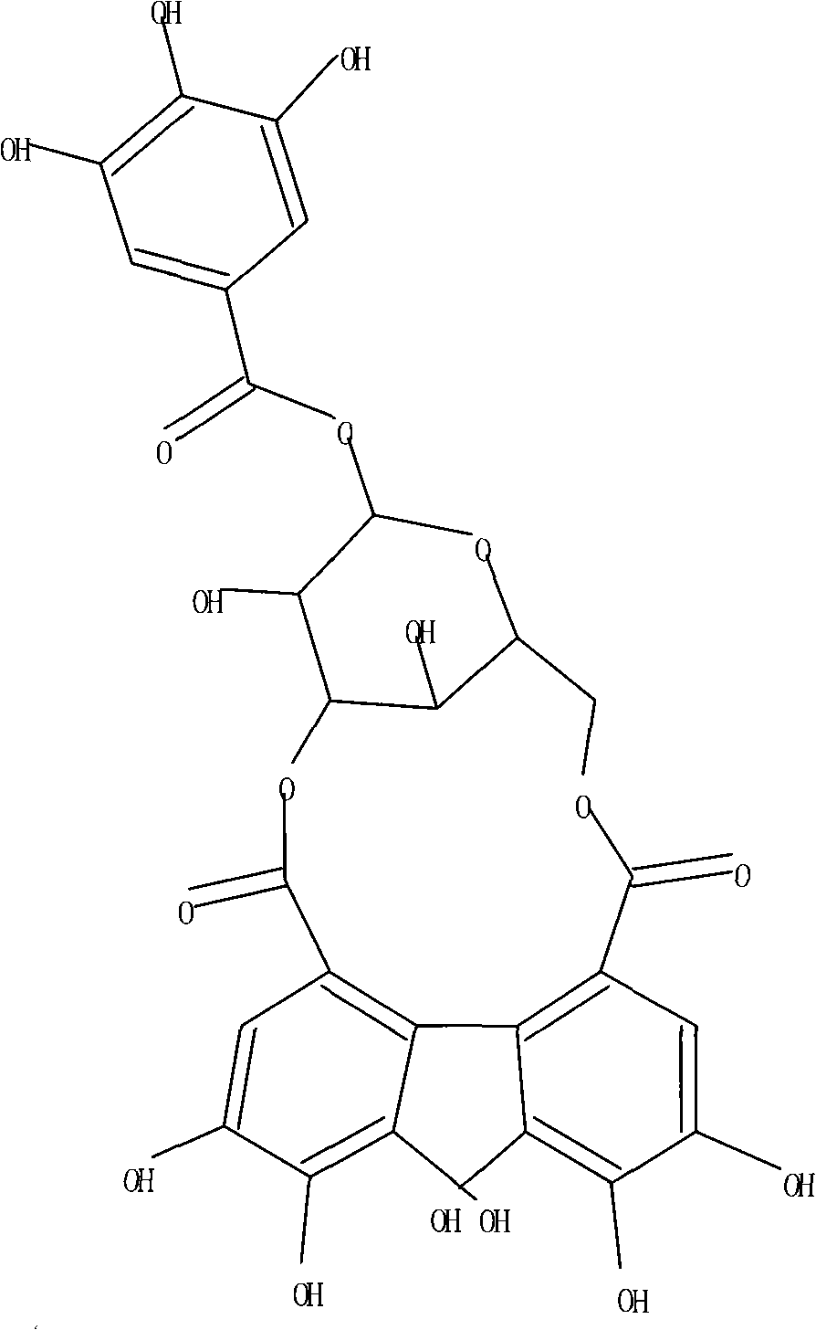 Preparation method of corilagin