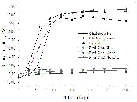 Method for reinforcing leaching of chalcopyrite microorganisms