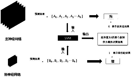 Support vector machine-based trusted decision-making method based on co-neural network