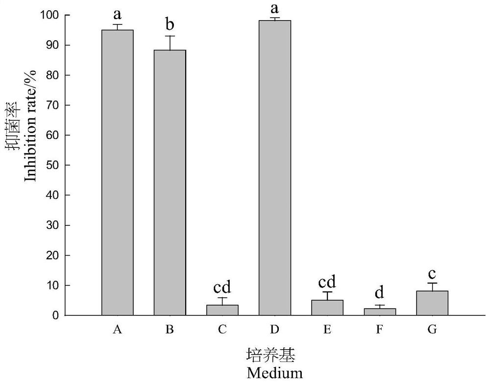 Streptomyces with dual functions of disease prevention and insecticide, application thereof, cultivation method, and biocontrol agent