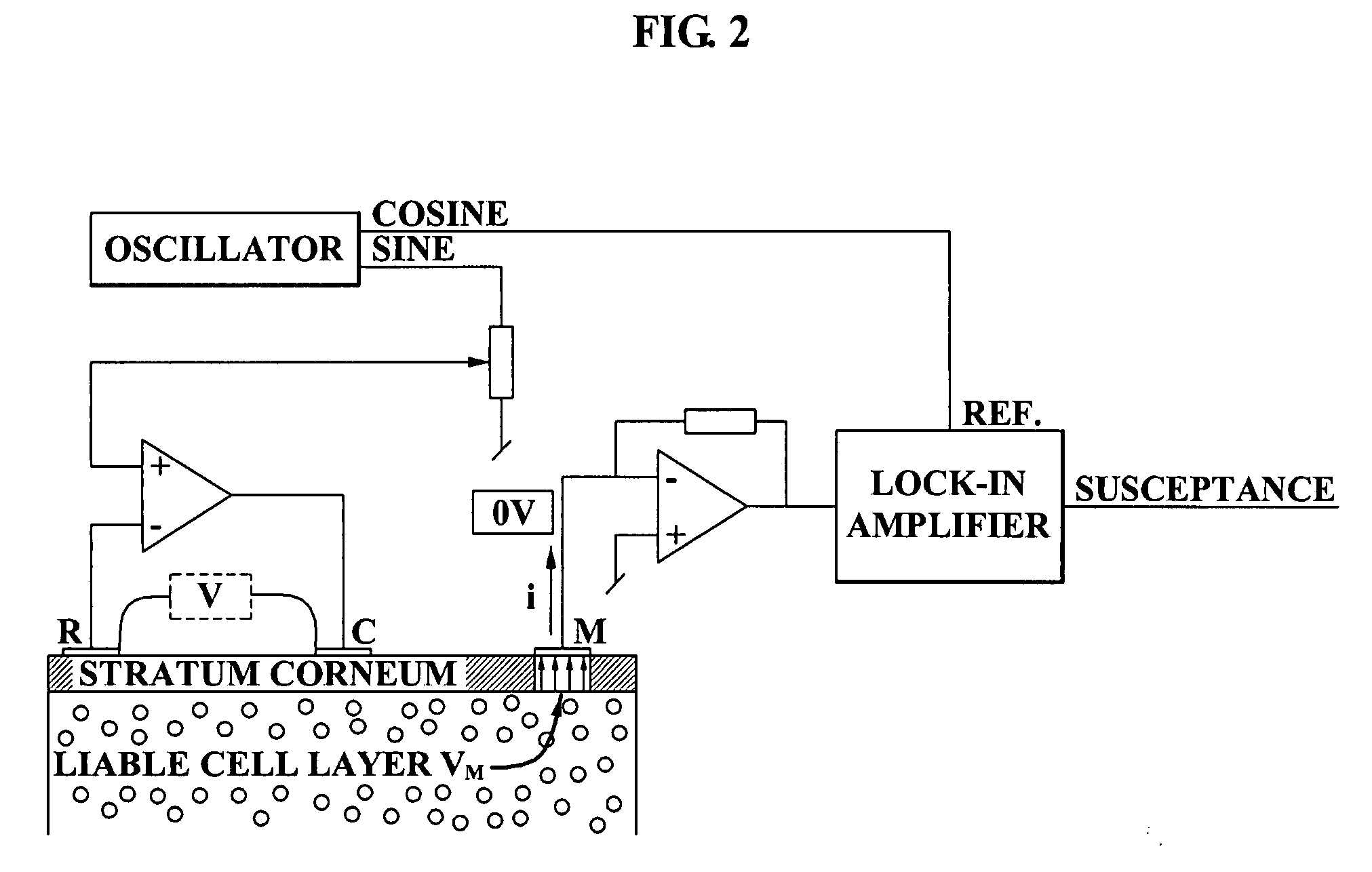 Apparatus for measuring skin moisture content and it's operation method