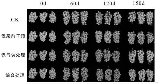 Microenvironment multi-field preservative and fresh-keeping method for grapes