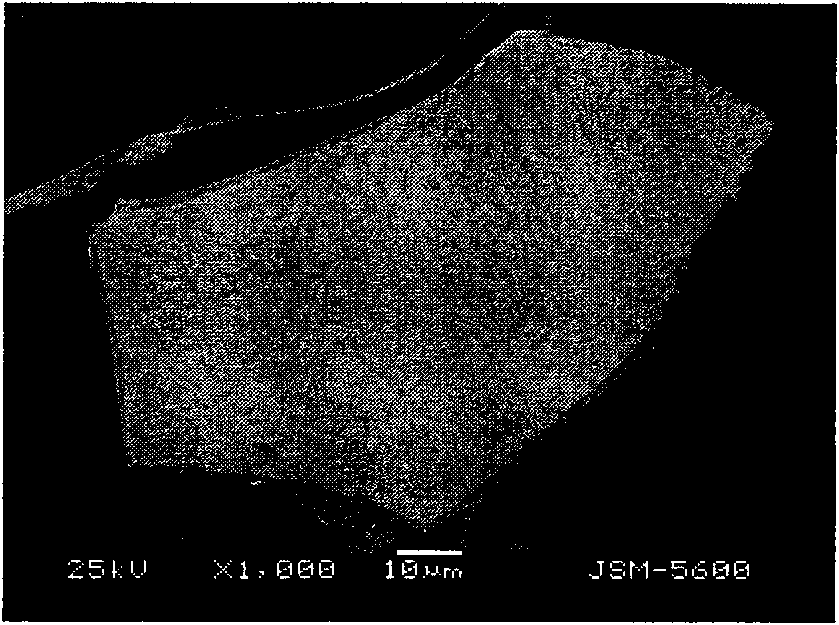 Method for preparing metallic matrix composite coating reinforced by tungsten carbide ceramics particles