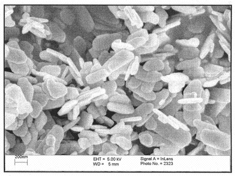 Preparation method of flaky nanometer zinc oxide powder