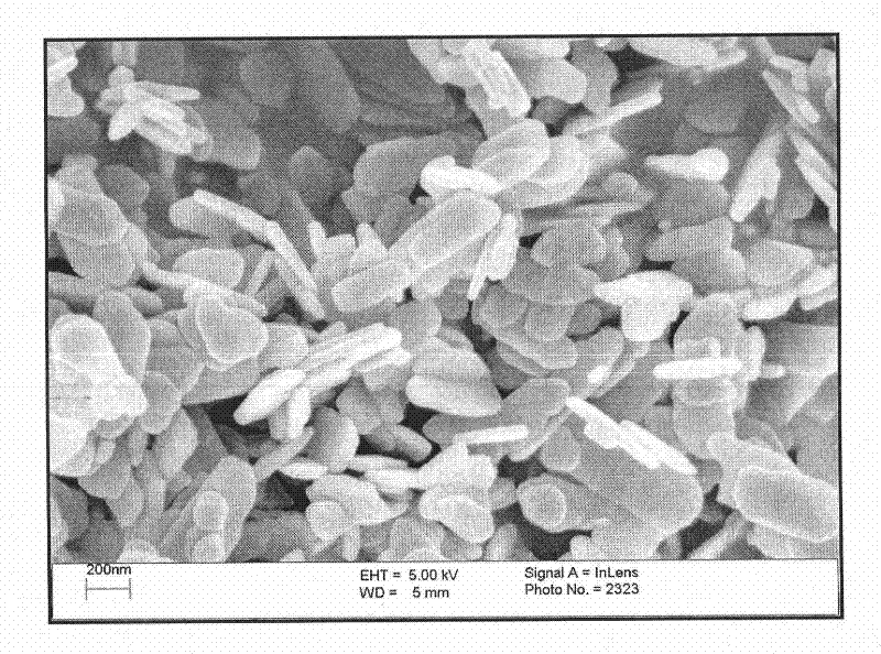 Preparation method of flaky nanometer zinc oxide powder