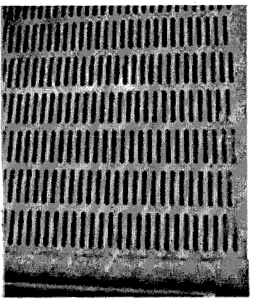 Method for improving seed production efficiency of hybrid rice through large-scale improvement of restorer seeds