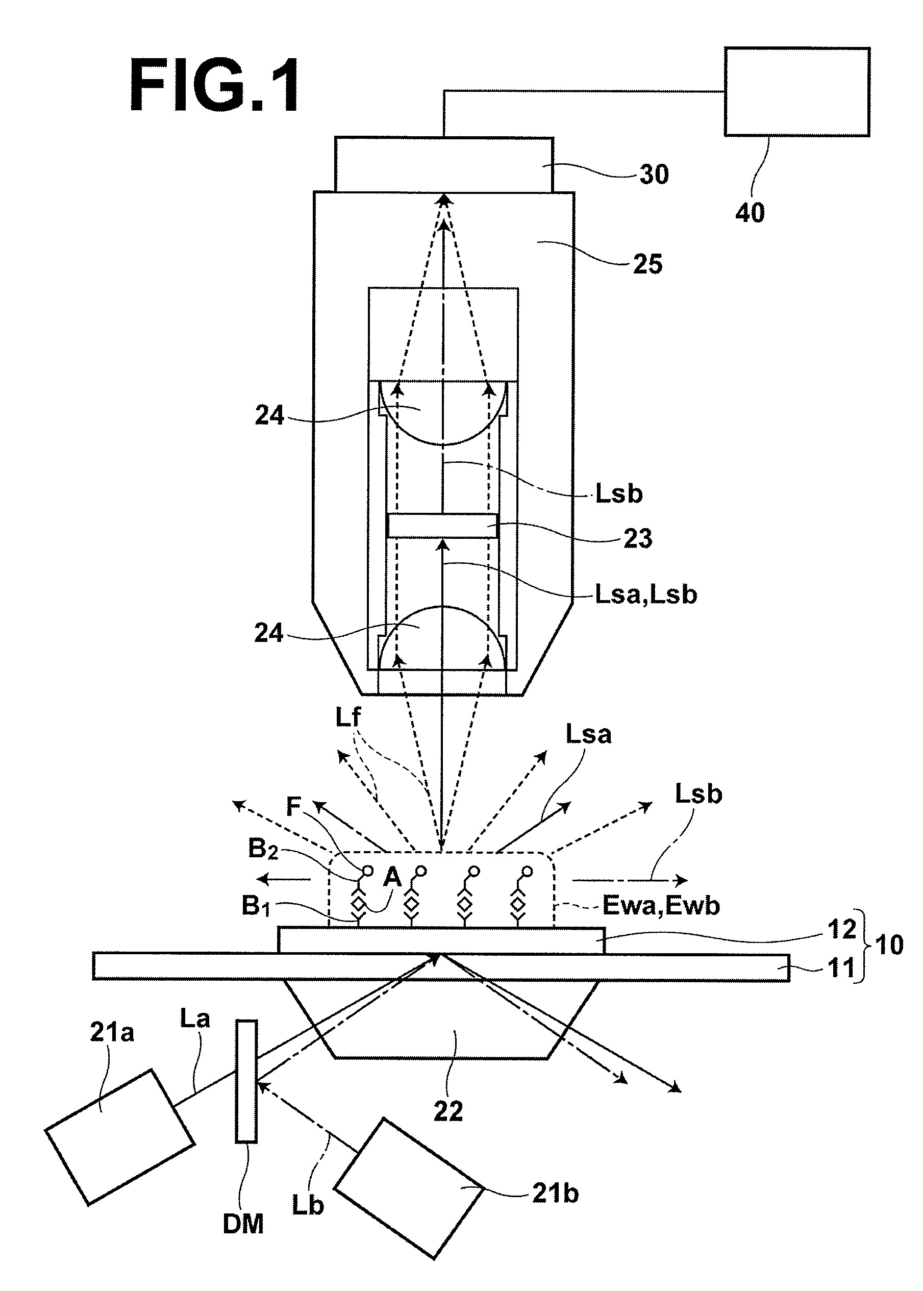 Flourescence detecting method and fluorescence detecting apparatus