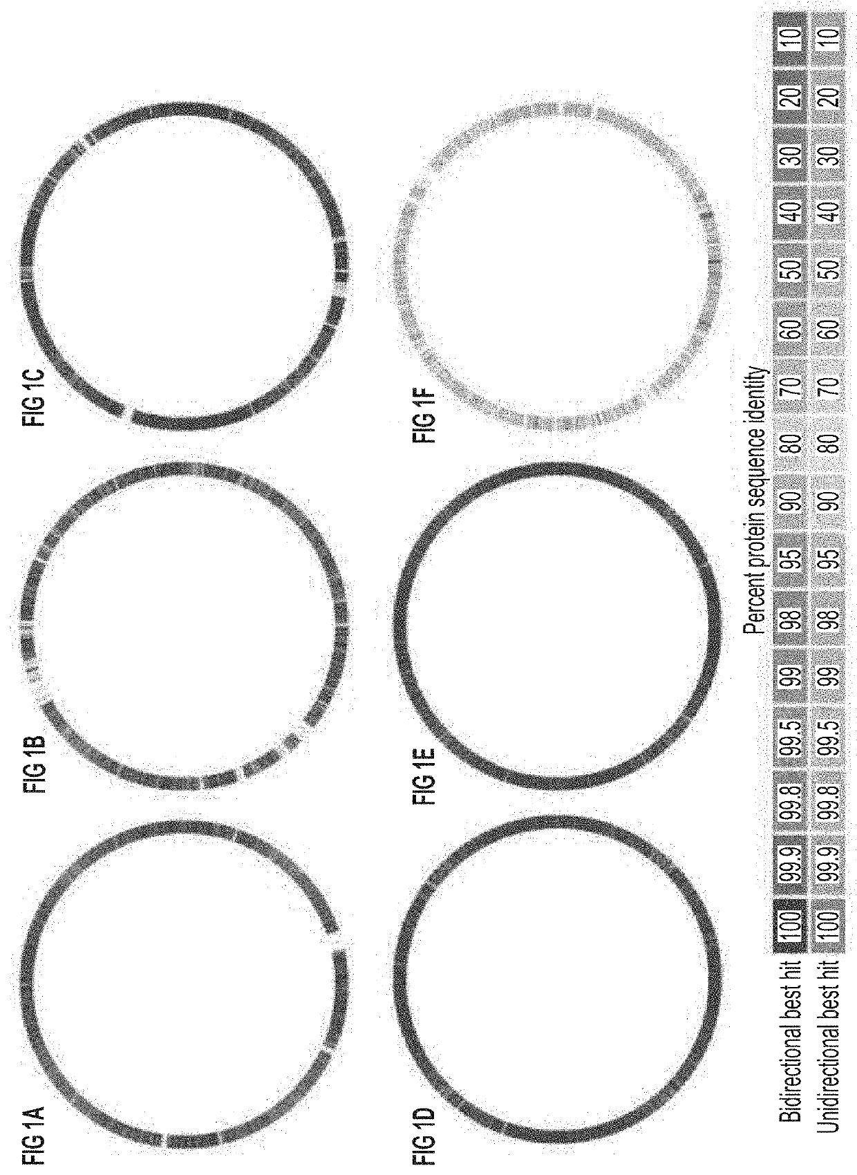 Systems and methods for treating a dysbiosis using fecal-derived bacterial populations