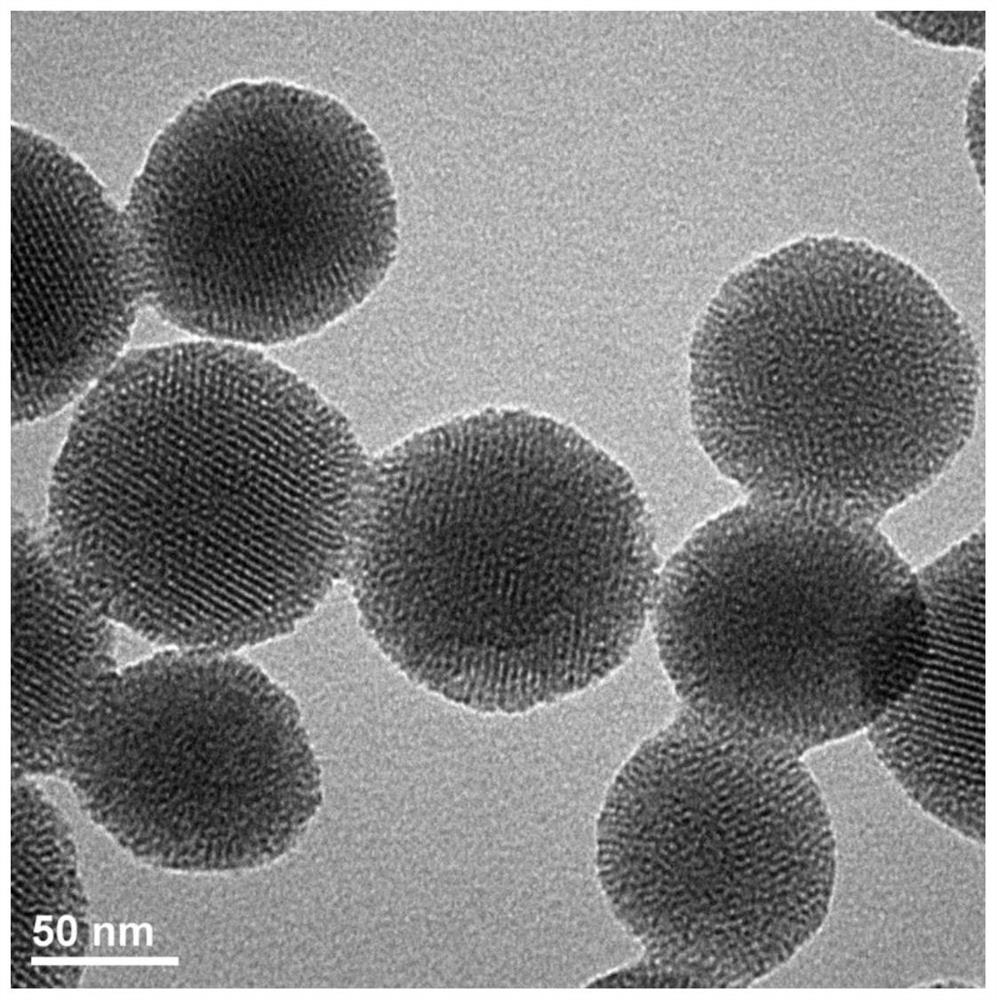 Preparation method and application of PH reversible controlled release meso-porous silicon nanometer drug delivery system