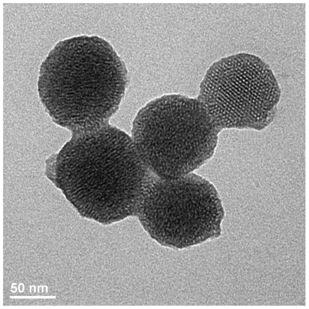 Preparation method and application of PH reversible controlled release meso-porous silicon nanometer drug delivery system