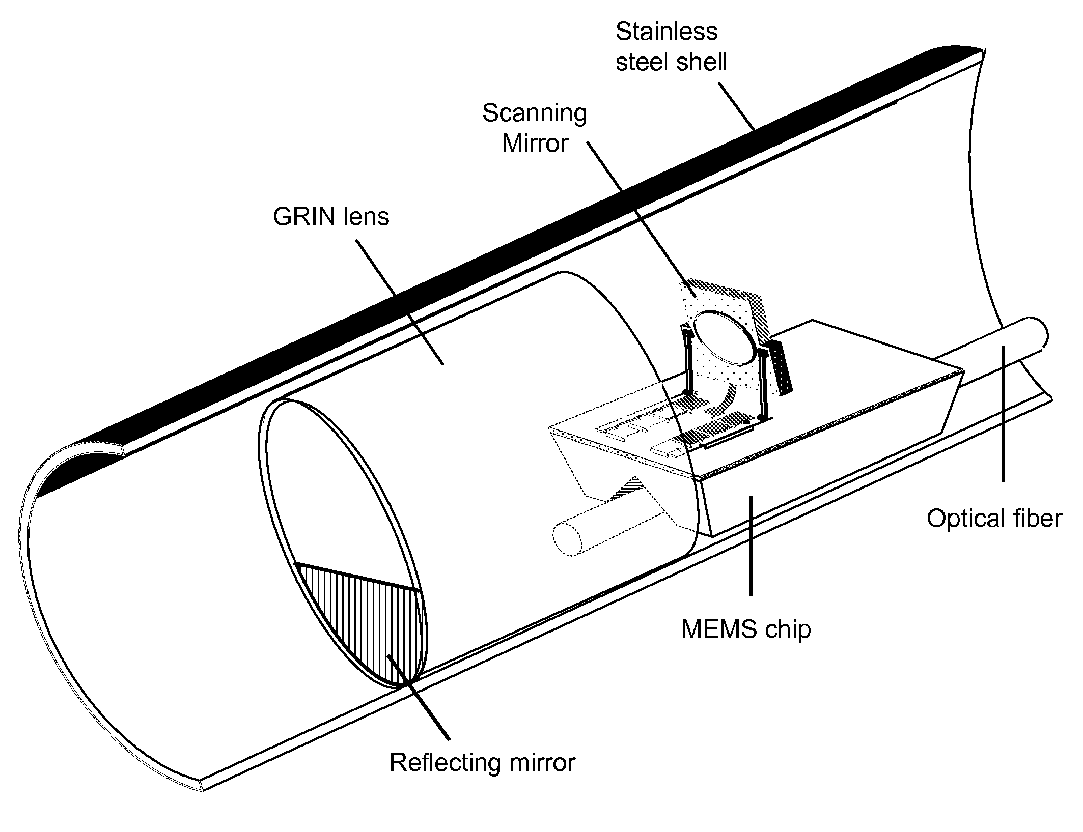 Forward-Looking Optical Coherence Tomography Endoscope