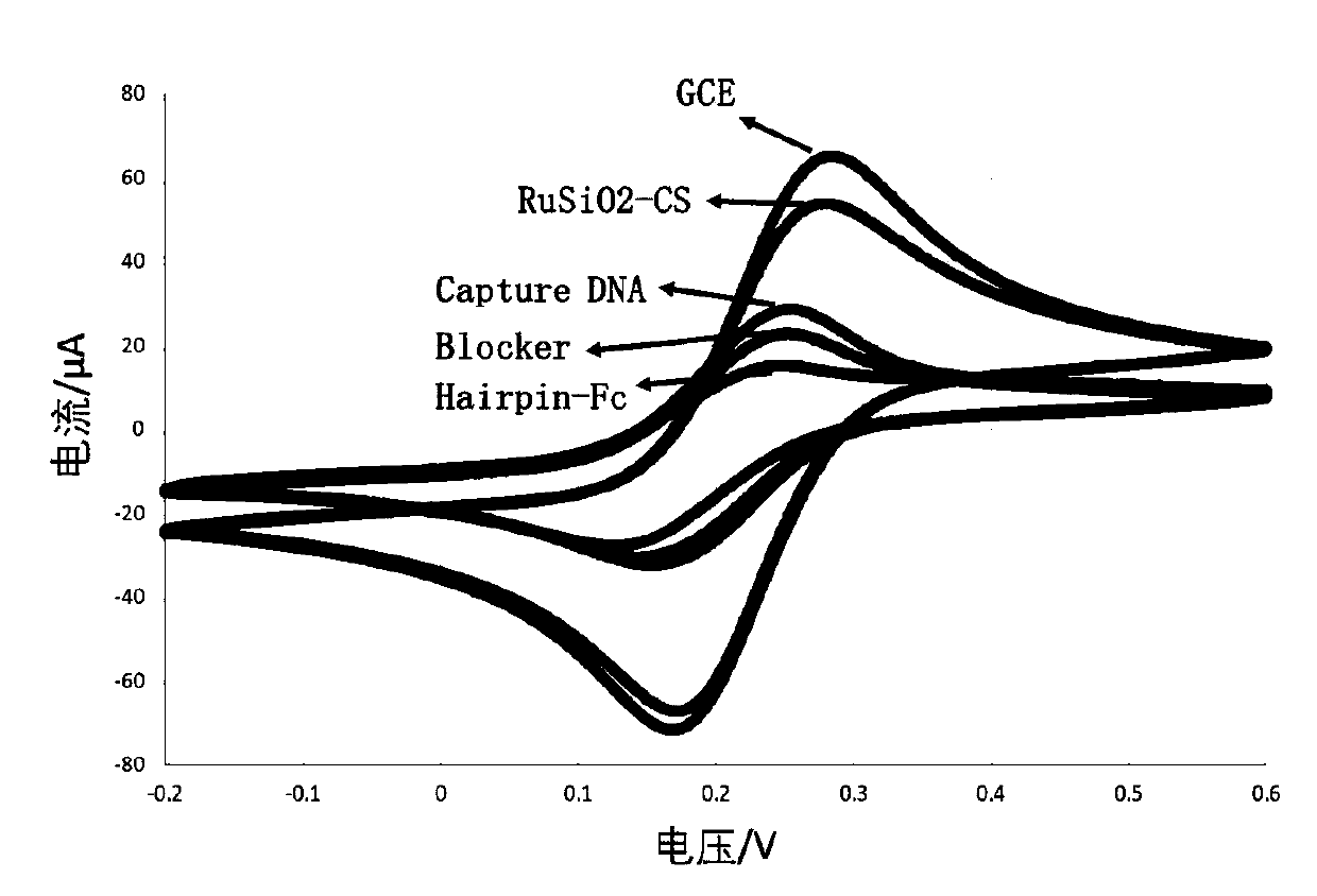 Electrochemical luminescence sensor system for determining adenosine triphosphate and preparation method and application thereof